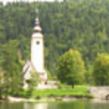 Twisted Root Burger Co